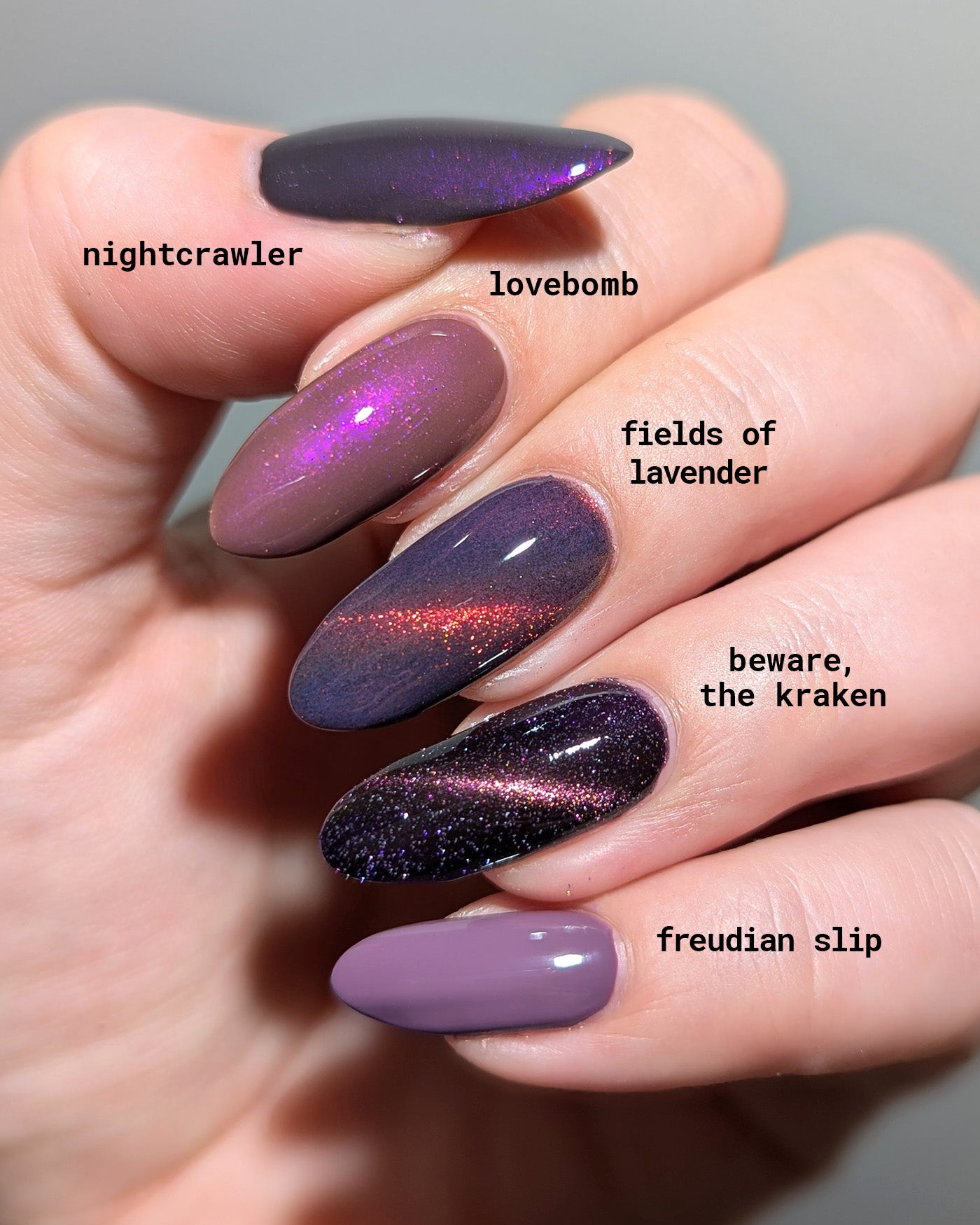 Fields of Lavender - Image 7