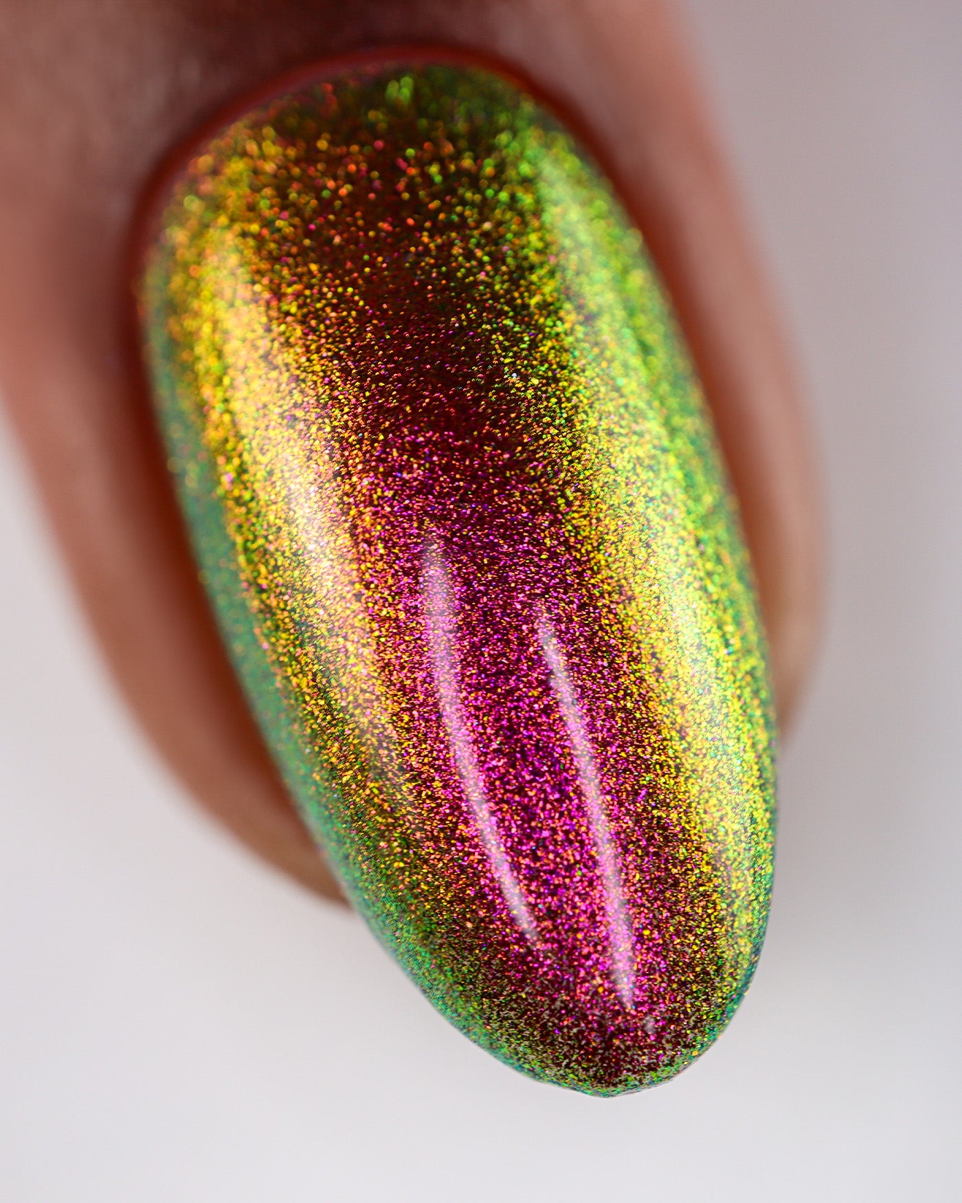 Jewel Beetle - Image 7