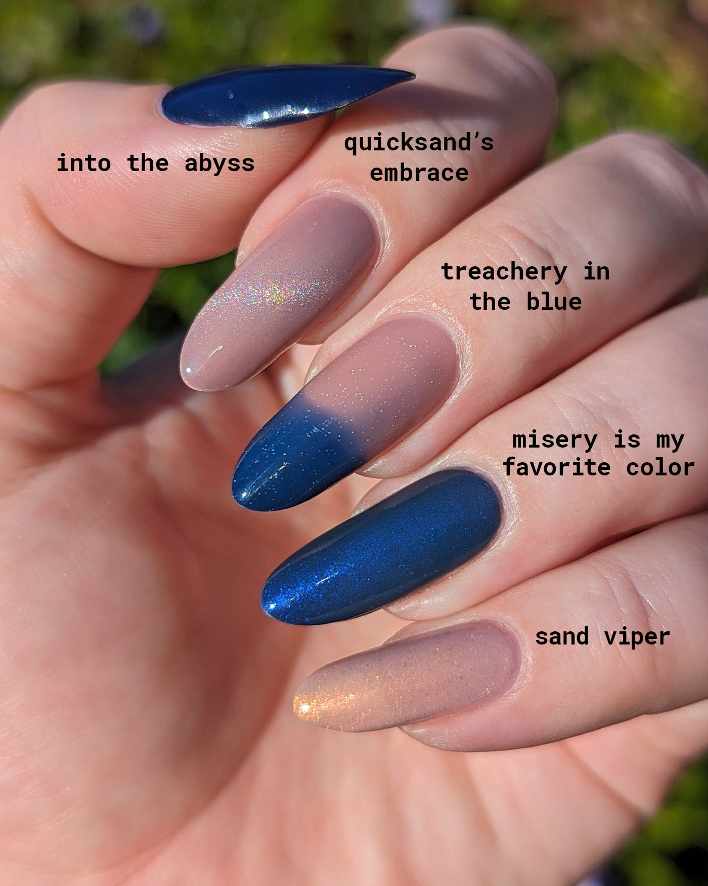 Treachery in the Blue - Image 5